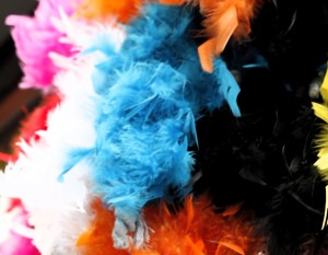Colourful Feathers